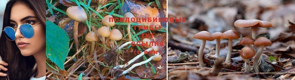 герыч Алзамай